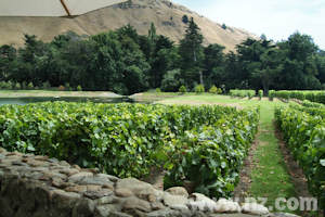 Hawkes Bay Wineries